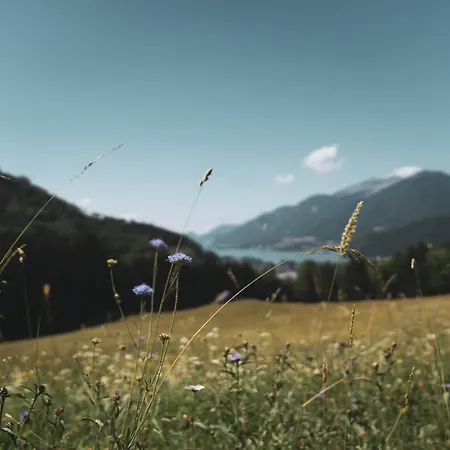 호텔 Bergrose Hideaway