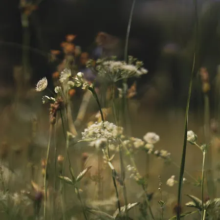 Bergrose Hideaway 호텔 4*