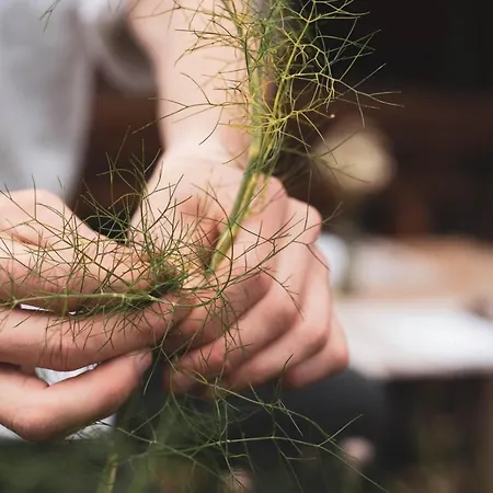 Bergrose Hideaway 호텔 4*