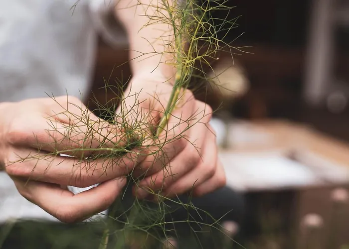 Bergrose Hideaway Hotel 4*