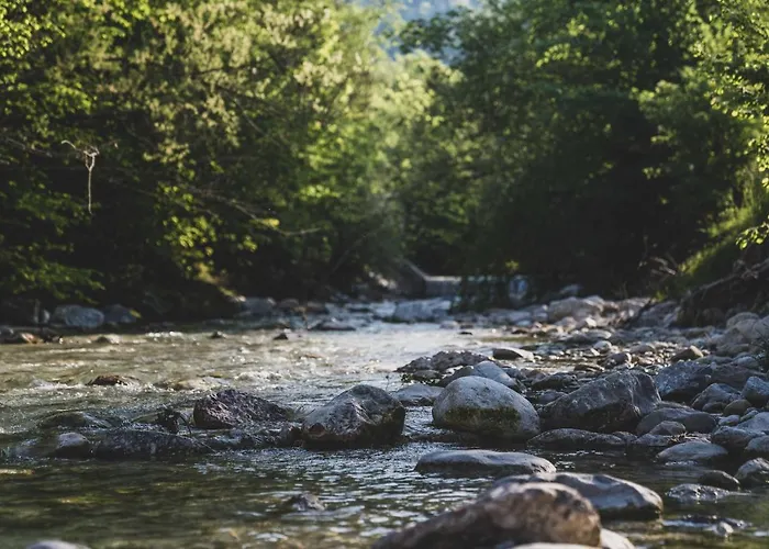 호텔 Bergrose Hideaway 스트로블