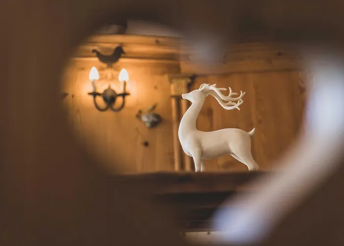 호텔 Bergrose Hideaway